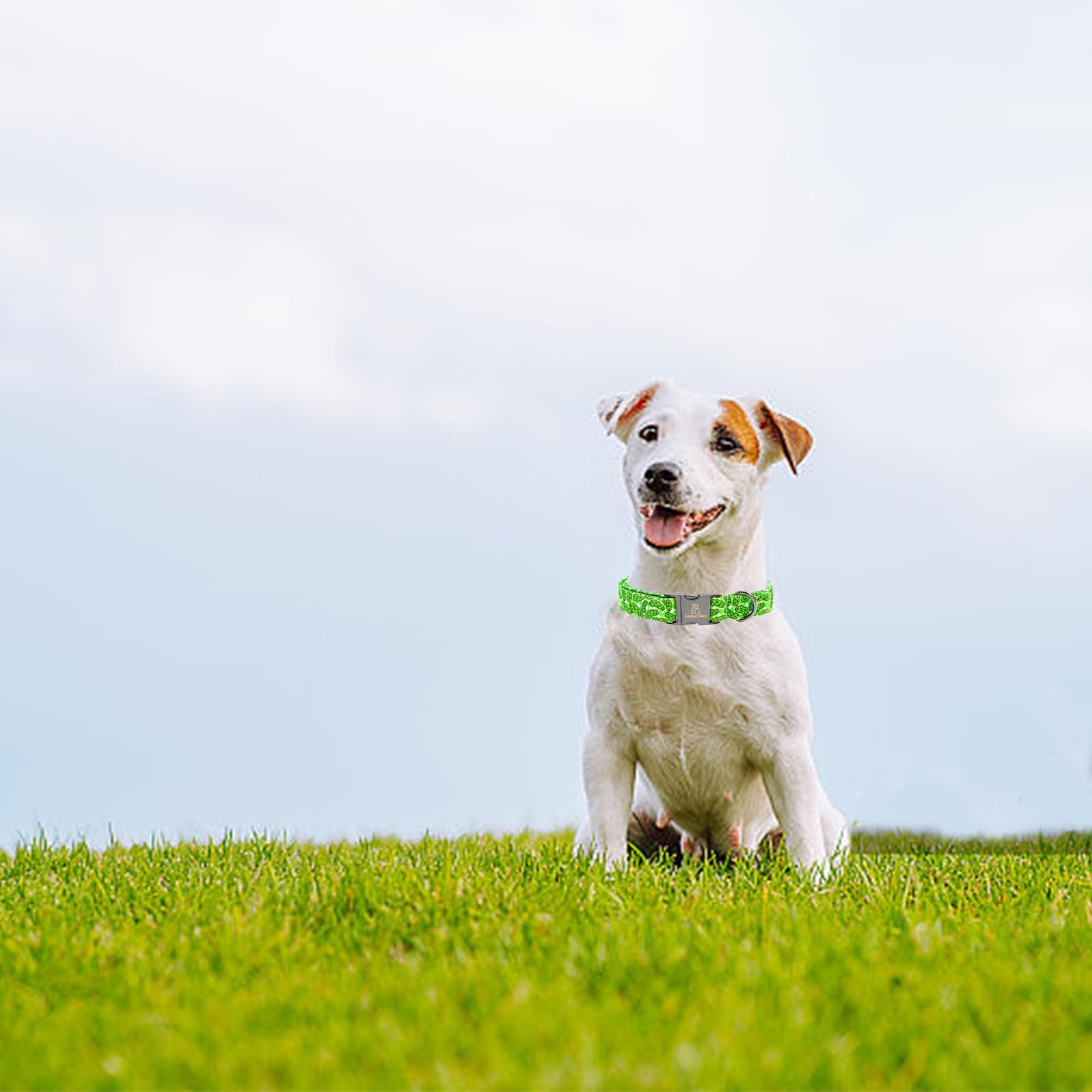 Lionheart Green Dog Collar - Soft, Durable, Adjustable For Puppy & Female Dogs - Spring Collar Gift