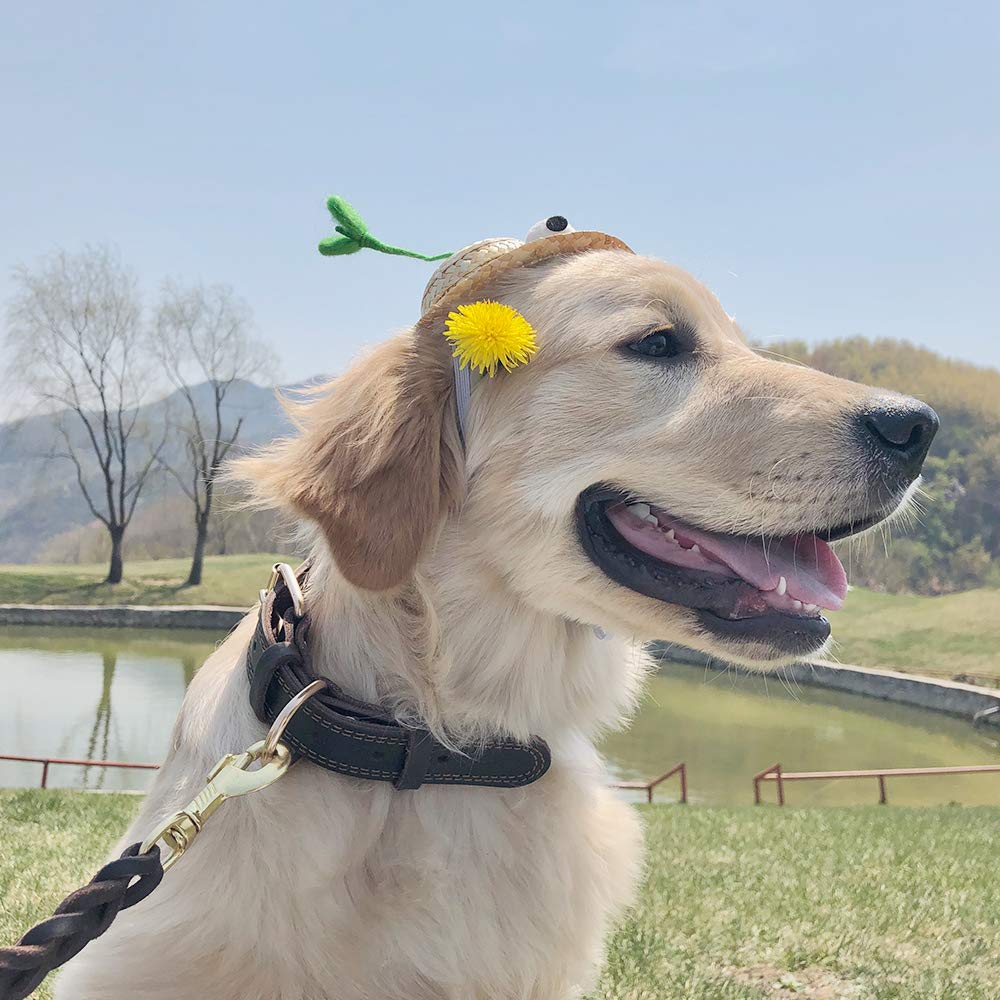 Daihaqiko Leather Dog Collar, Heavy Duty, Wide, For Large Dog, Single Stitch - Brown