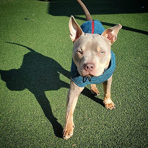 Gooby Boys 3X-Large Chest (~28.5 Inch) Zip Up Fleece, Fuchsia Wash, 3X-Large 28.5 Us