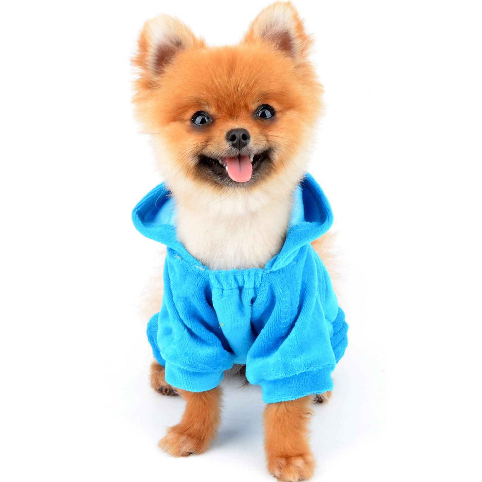 Selmai Dog Jumpsuit Hoodie Sweatshirt Dog Fleece Sweater Coat Small Pet Clothes Rhinestone Crown Blue M