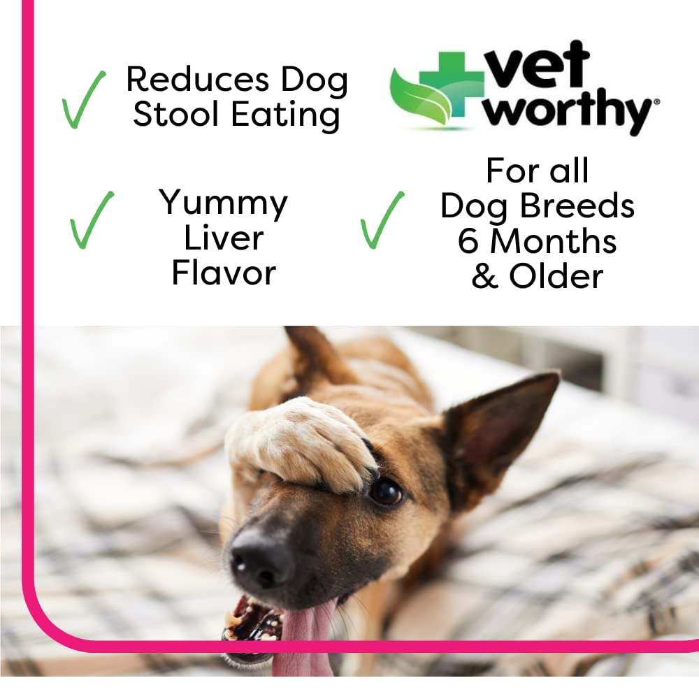 Vet Worthy Stop Stool Ingestion -Coprophagia - Dogs Supplement to Prevent Stool Eating - Dog Supplement with Yucca Schidigera, P