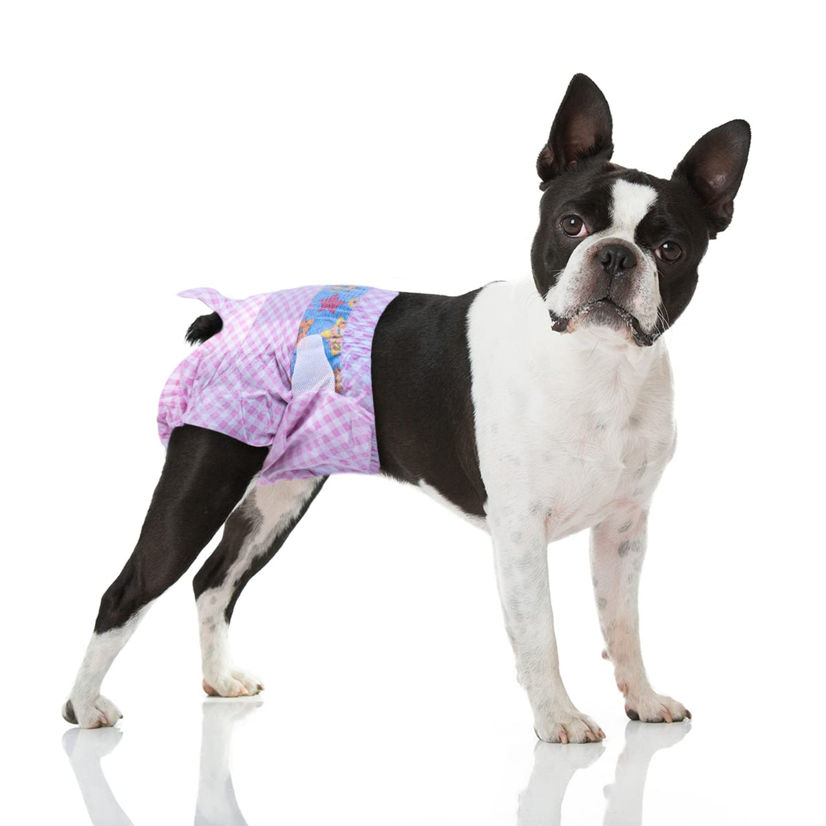 Flying Paws Disposable Female Dog Diapers, Puppy Diapers With Adjustable Elastic Waistline For Female Dog Or Cat In Heat, Incontinence, Diaper With Wetness Indicator. (M-10 Count)