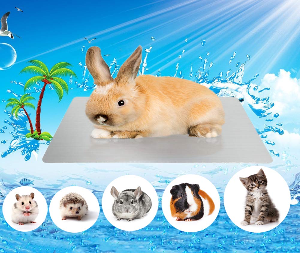 Comtim Rabbits Cooling Mat, Self Cooling Mat Pad For Hamster Guinea Pig Chinchilla Bunny Kitten Cat And Other Small Animals, Pet Cool Plate Ice Bed, Rapid Cooling - Perfect For Hot Summer Weather, M
