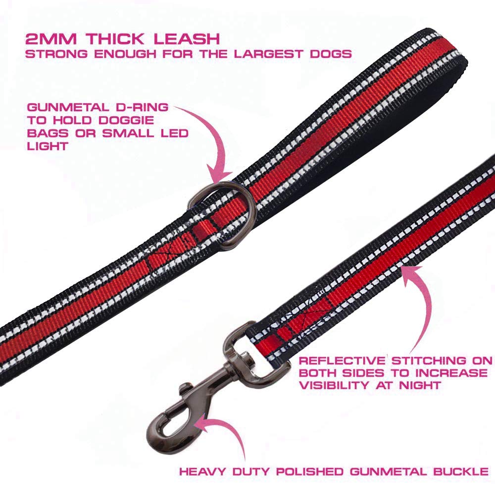 Jsxd 5 Ft Heavy Duty Double Handle Dog Leash With Comfortable Padded And Reflective Rope, Suitable For Small, Medium, Large Dogs