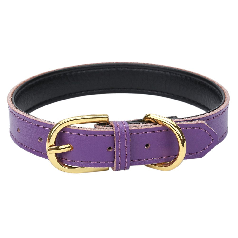 Aolove Basic Classic Padded Leather Pet Collars For Cats Puppy Small Medium Dogs (Large (Neck 14.5''-18.5''), Purple)