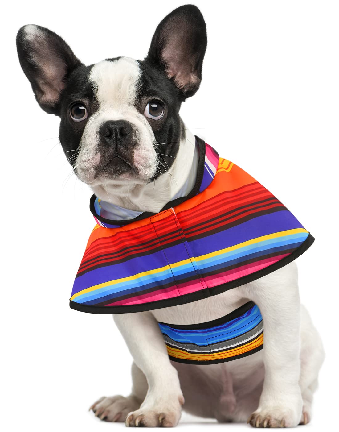 Hde Dog Raincoat Hooded Slicker Poncho For Small To X-Large Dogs And Puppies Baja Stripes - S