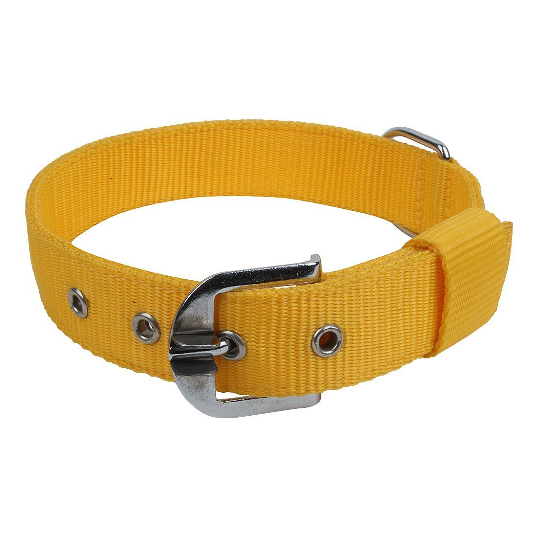 Munchos Double Strip Dog 1.25 Inchi Collar For Large Dogs (Colour May Vary)