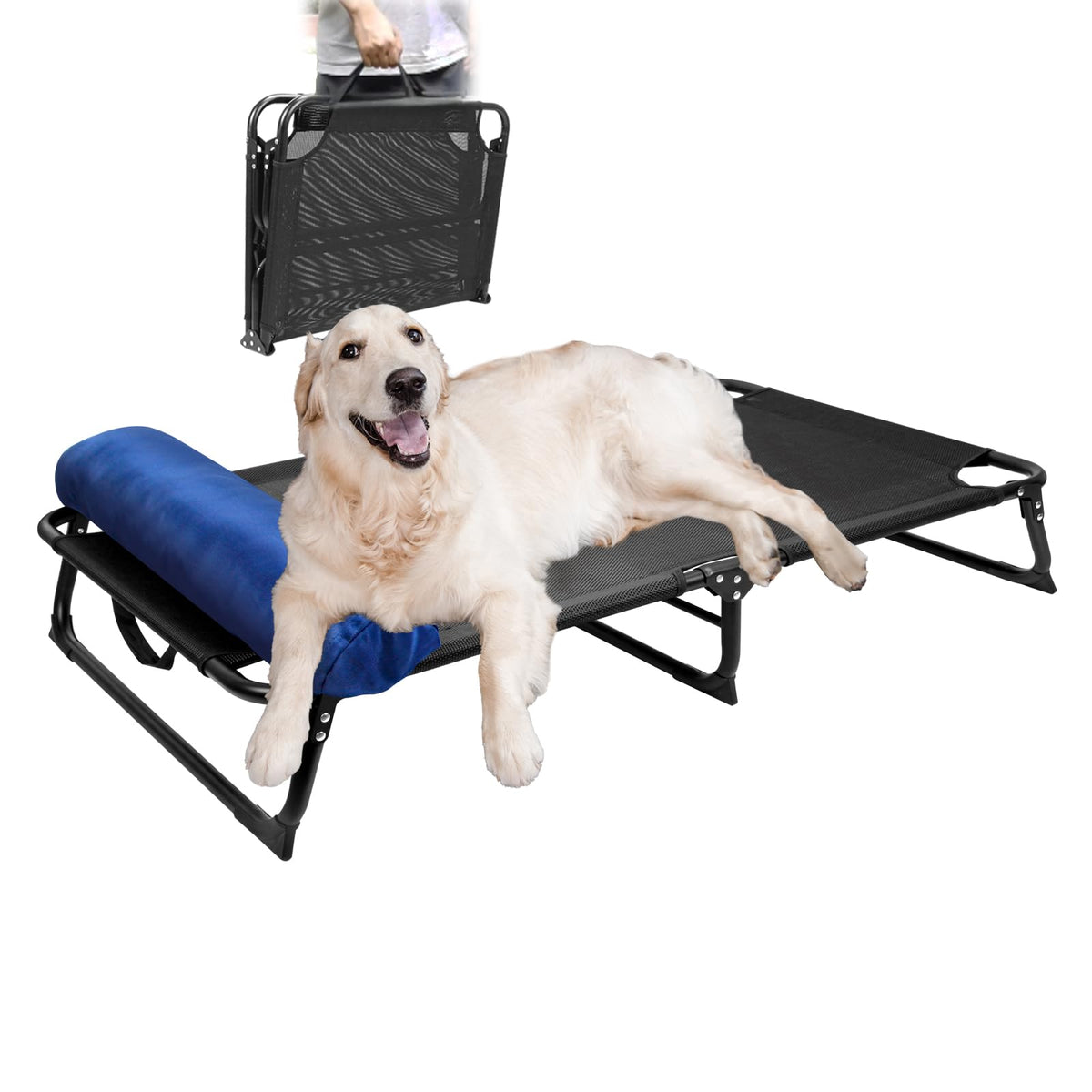 Caredpets Elevated Dog Bed Raised Dog Cot W/Bolster For Large Jumbo Dogs, Xl Xxl Dog Bed Large Sized Dog Portable Foldable Indoo