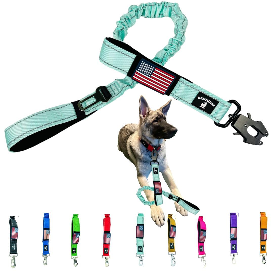 Heavy Duty Bungee Dog Leash - Shock Absorbing, Seat Belt Clip, Quick Release Frog Clasp, Double Padded Handles, for Large and Me