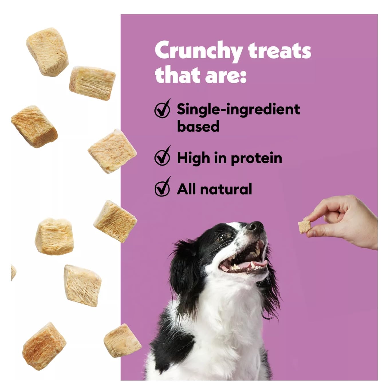 Wiggles & Wags Freeze Dried Chicken Dog Treats, 5 oz, with DN Essentials Bone Shaped Waste Bag Dispenser & Roll