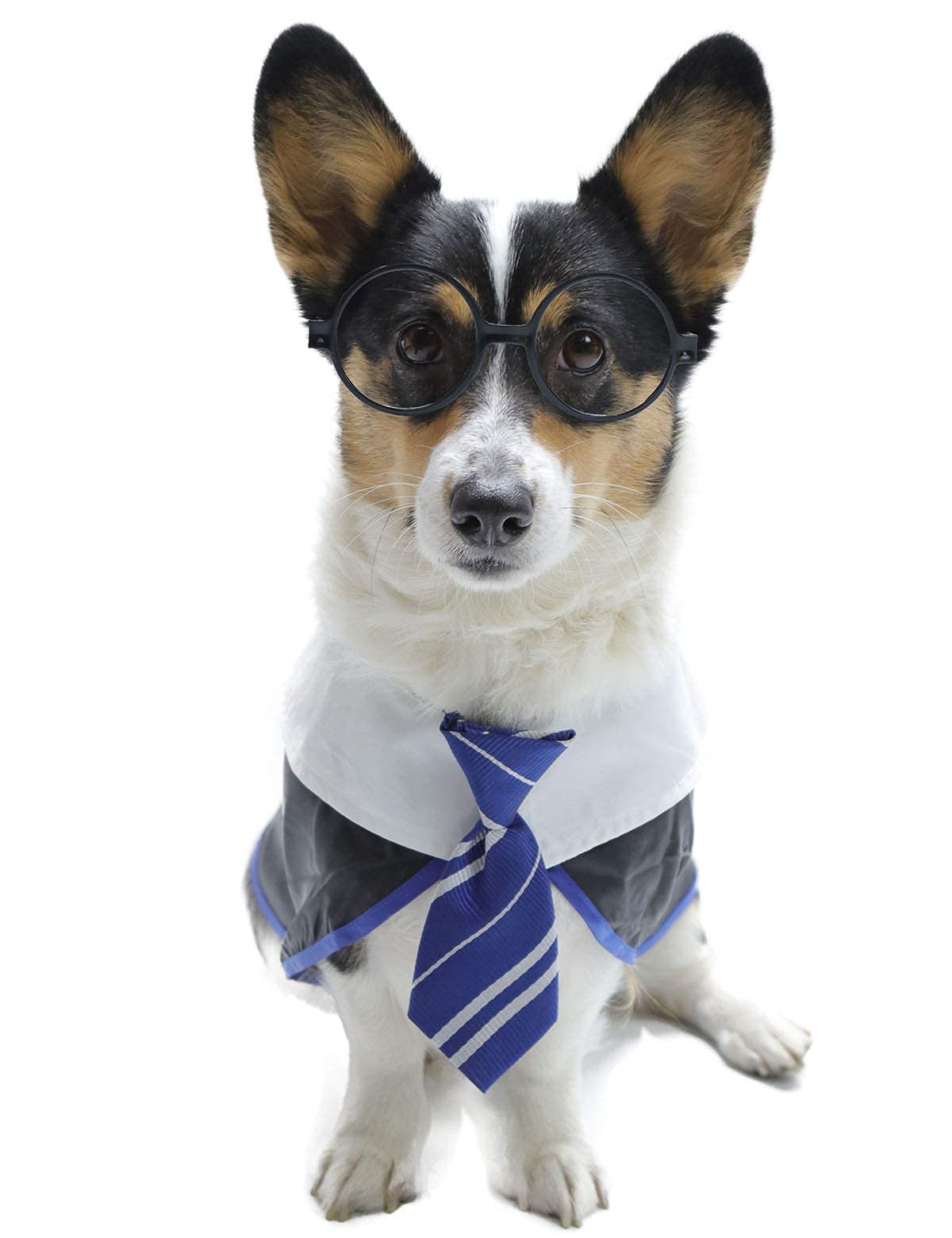 Impoosy Pet Halloween Dog Shirts Funny Cat Wizard Costume Cute Apparel Soft Clothes With Glasses (Small,Neck:12')