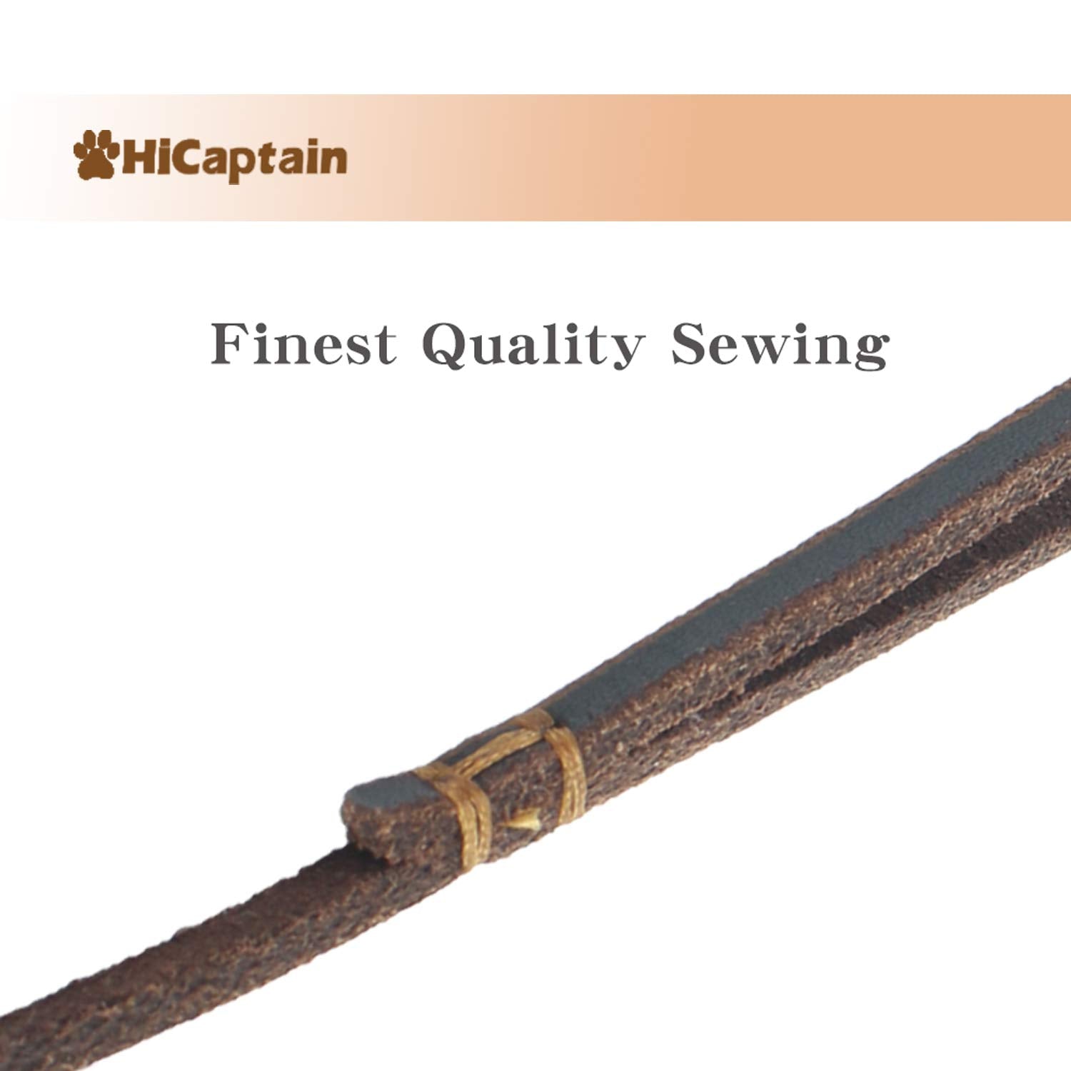 HiCaptain Thin Leather Pet Leash, Durable Dog Leashes Suit for Small Dog Up to 15 lb 00(1/5 inch Wide, 6 Ft)