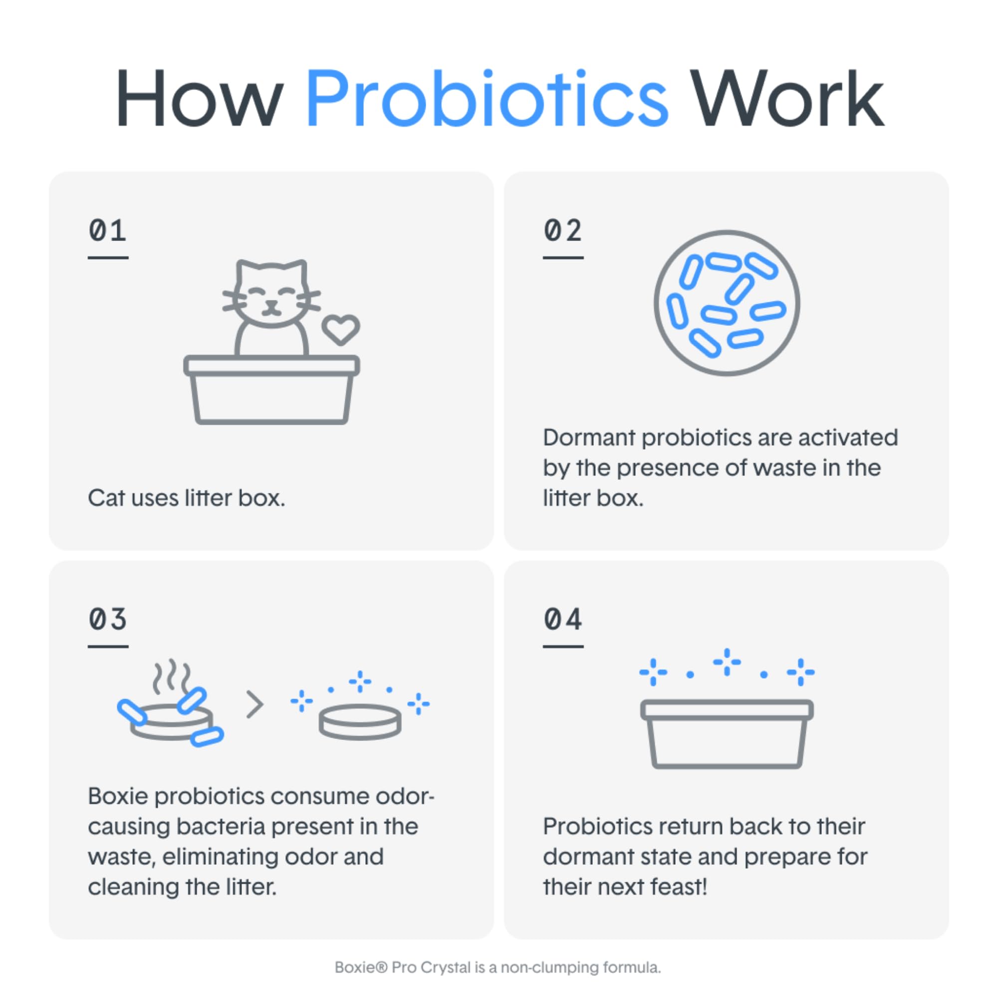 Boxie Probiotic Cat Litter, 40-Day Odor Control, Non-Clumping, Dust-Free, Crystal, 6lb, Multi-Cat