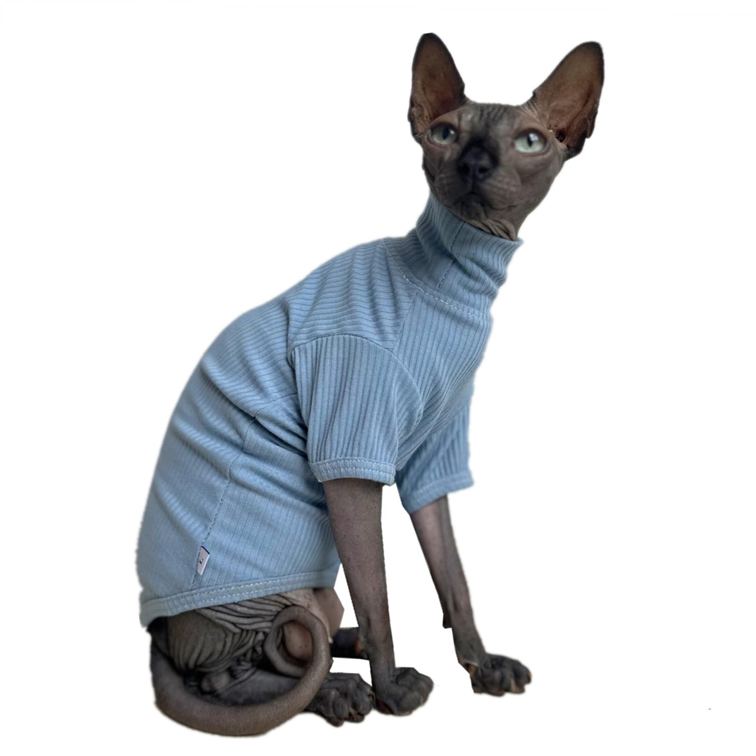 Sphynx Hairless Cats Shirt Cotton Cat Turtleneck Sweater Pullover Kitten T-Shirts With Sleeves Cat Pajamas Jumpsuit For Sphynx Cornish Rex, Devon Rex, Peterbald (Small (Pack Of 1), Sky Blue)