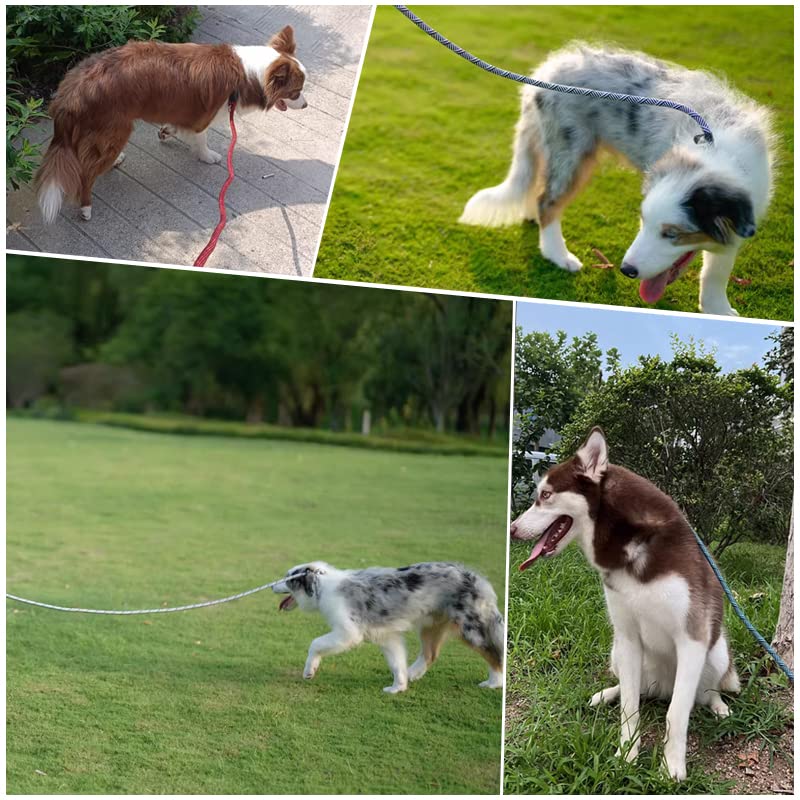 Yucforen 10Ft / 20Ft Long Slip Lead Dog Leash, 3/8' Thick Nylon Reflective Rope Anti-Choke Training Lead For Medium Large Dogs (20Ft * 3/8', Red)