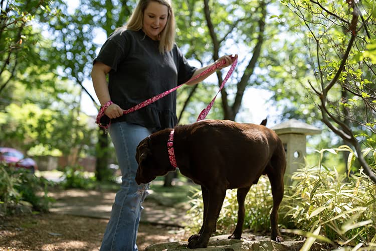 Country Brook Petz - Pink Bone Camo Deluxe Dog Collar - Made In The U.S.A. - Camouflage Collection Featuring Rugged Designs (1/2