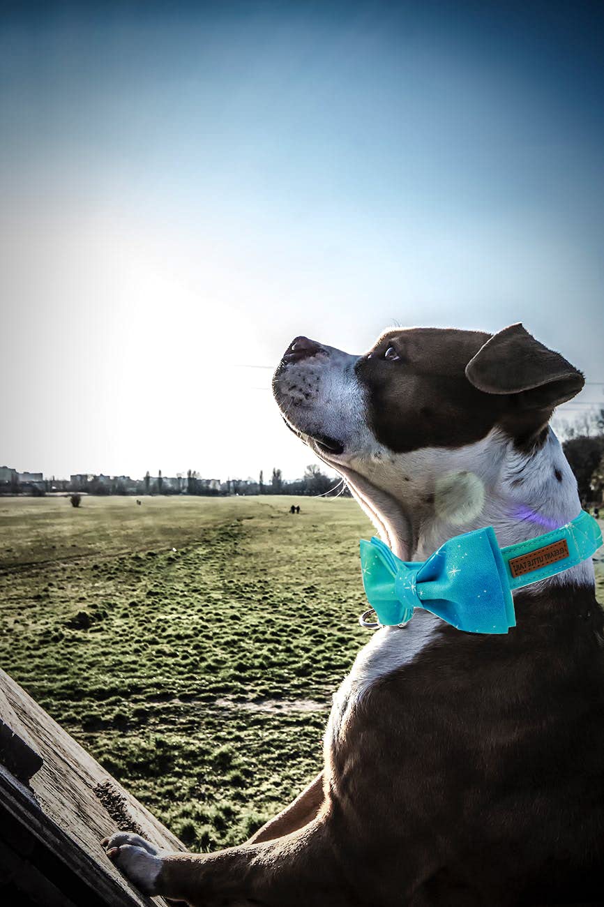 Elegant Little Tail Colorful Dog Collar, Comfortable Dog Collar With Bow Adjustable Soft Bow Tie Dog Collars For X-Small Dogs And Cats