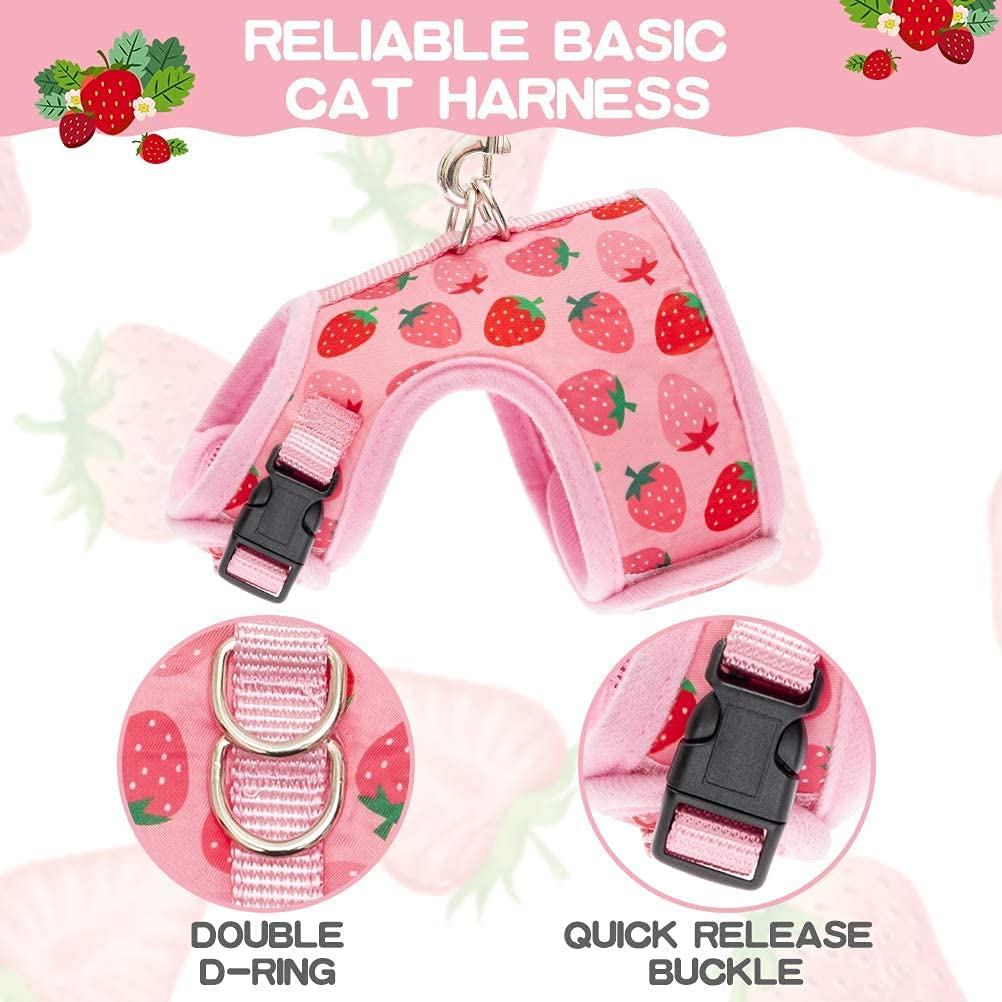 Bingpet Cat Harness With Leash Escape Proof - Fashionable Mesh Cat Dog Walking Harness Leads, Adjustable For Kitties Puppies Small Animals