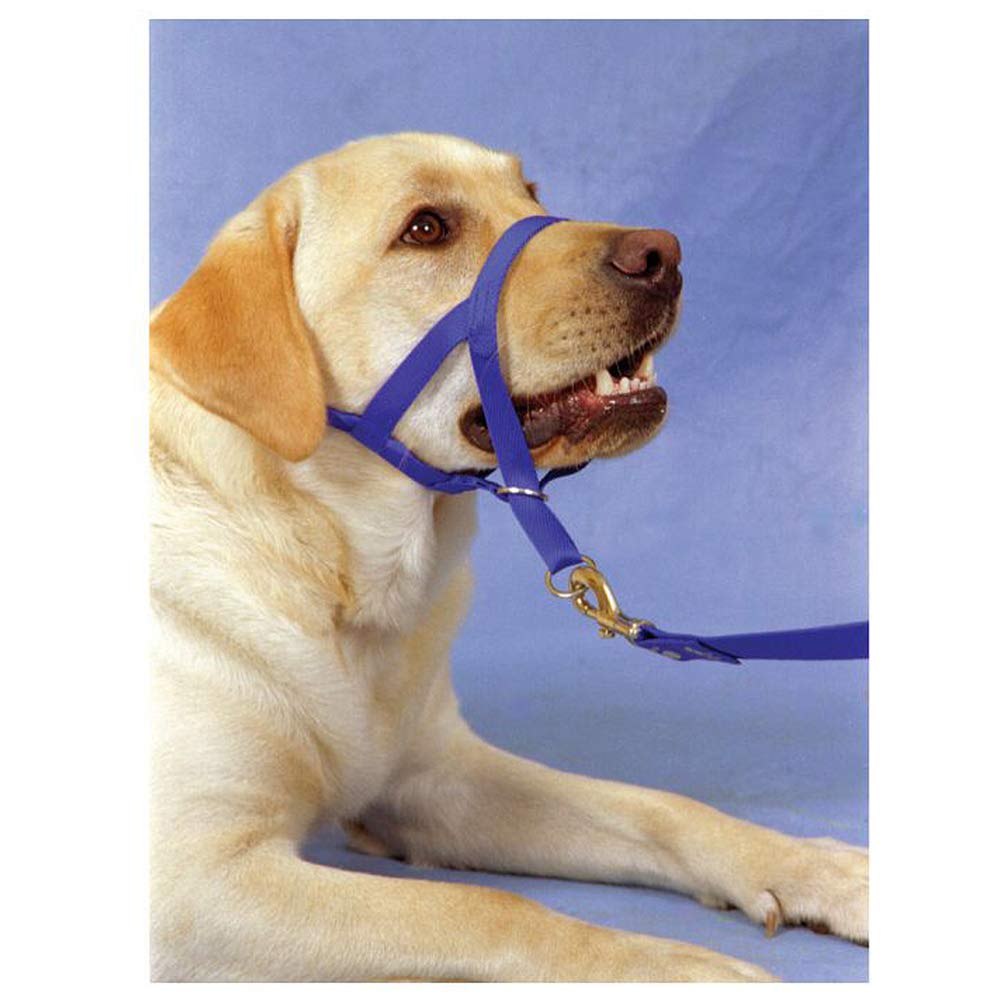 Soft Dog Head Collar, No Pull Training Tool For Small Medium Large Dogs On Walks, Gentle Training Collar And Control For Heavy Pullers, Includes Free Training Guide (M, Blue)