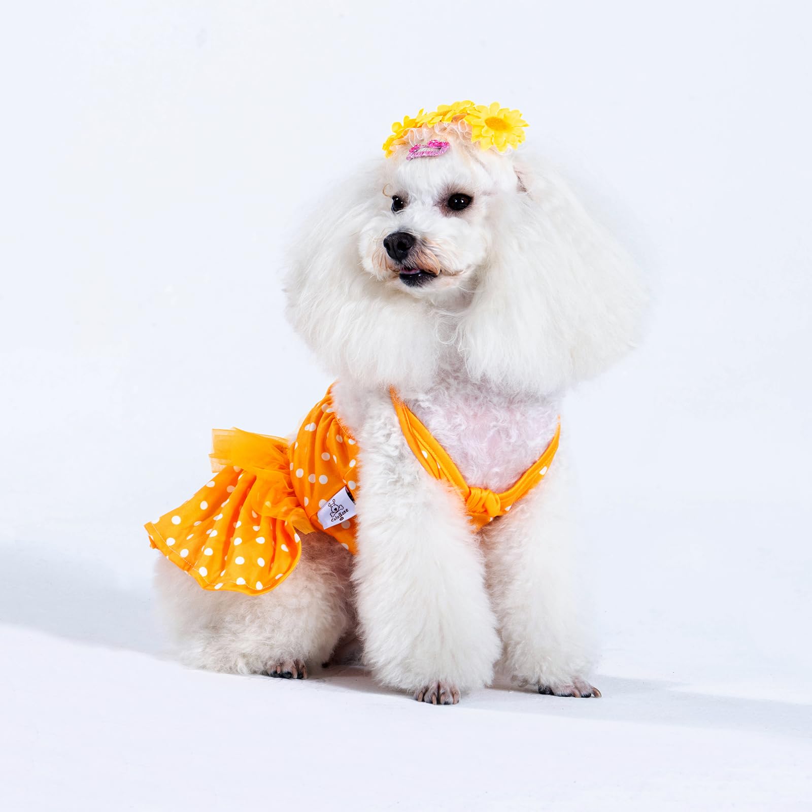 Cutebone One Piece Dog Bikini Swimsuit Dress - Puppy Bathing Suit Costume For Small Dogs - Comfortable & Stylish Pet Clothes For