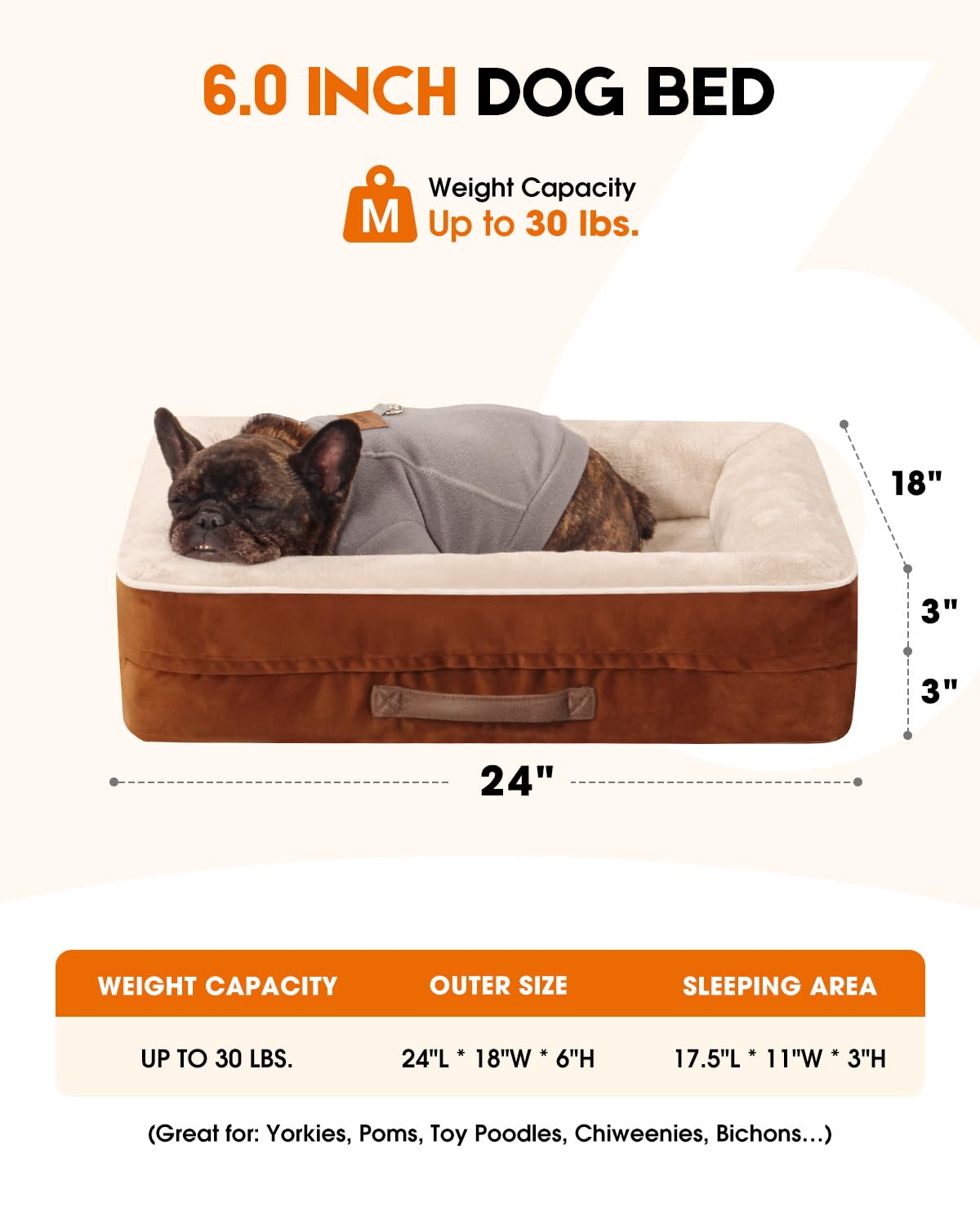 Cat Beds For Indoor Cats, Egg Foam Orthopedic Dog Bed With Removable Washable Cover, Waterproof Cat Couch Bed With Non-Slip Bott