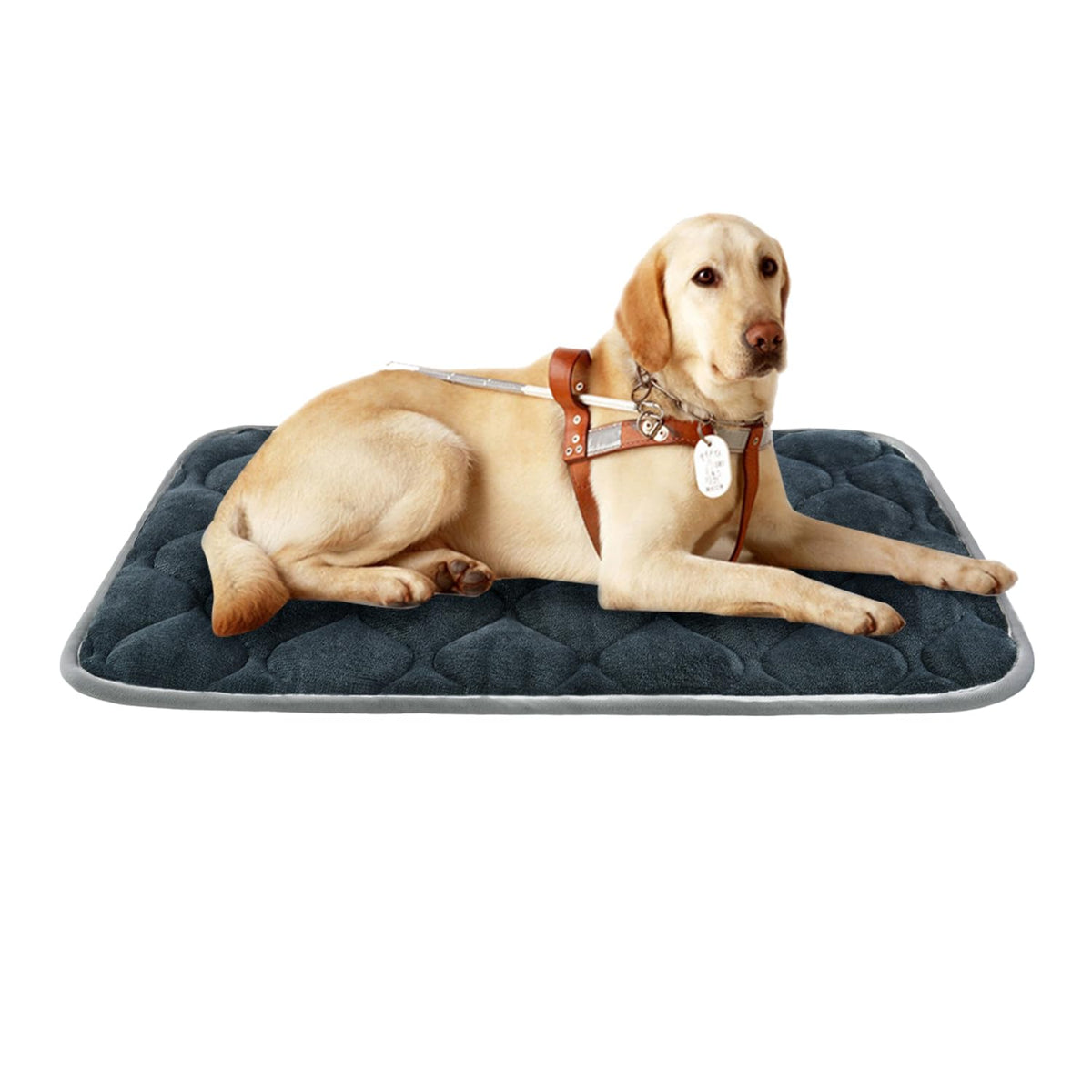 Furrybaby Dog Bed Mat Soft Crate Mat With Anti-Slip Bottom Machine Washable Pet Mattress For Dog Sleeping (L 42X28'', Grey Mat)