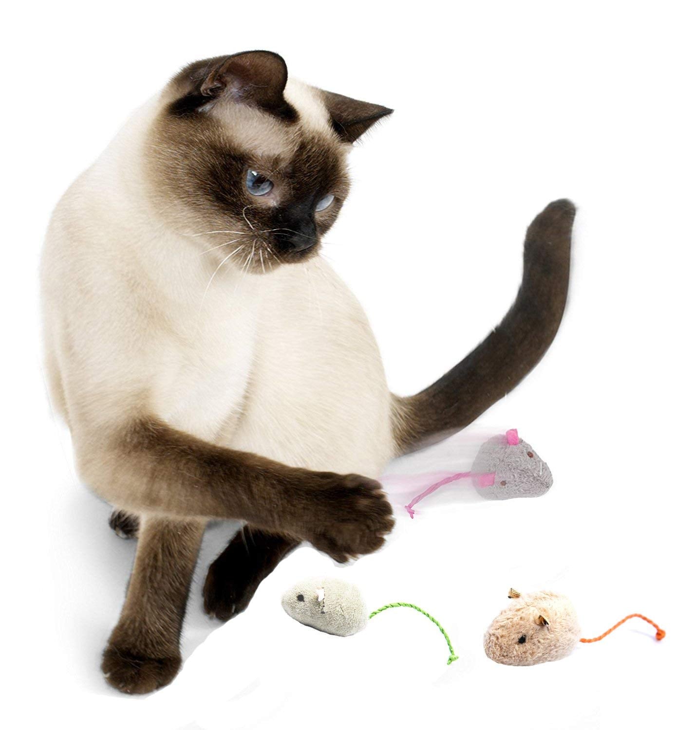 Cat Toys Set, Cat Retractable Teaser Wand, Catnip Fish, Interactive Cat Feather Toy, Mylar Crincle Balls, Two Cotton Mice, Four