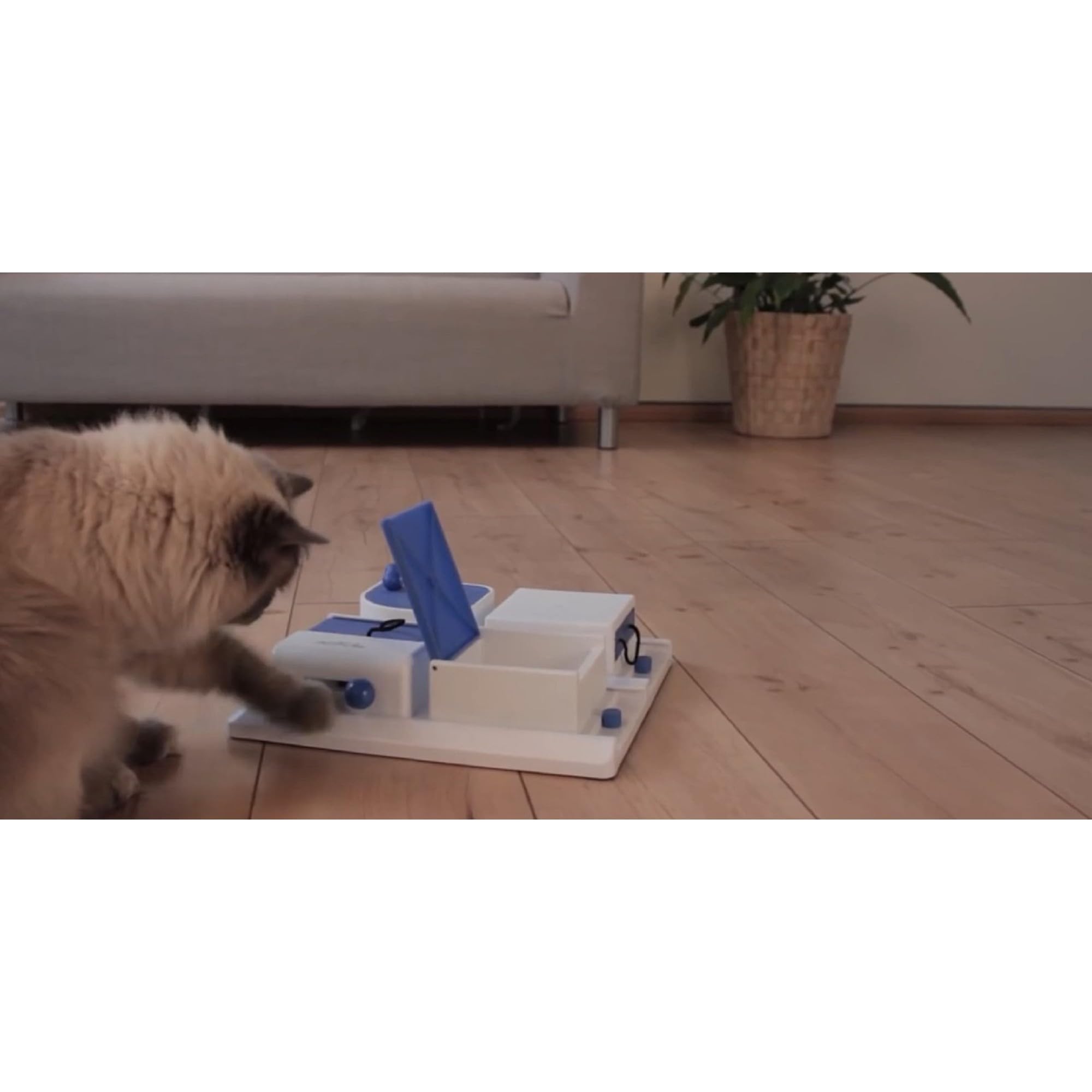 TRIXIE Cat Activity Poker Box Strategy Game, Slow Feeder, Interactive, Treat Toy,All Breed Sizes