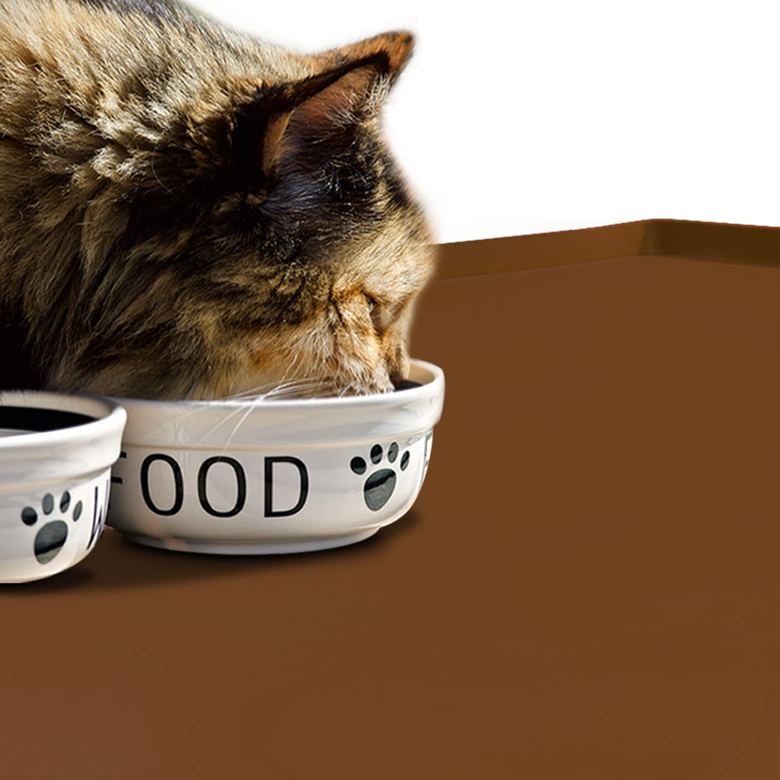 EIOKIT Dog Food Mat,Silicone Waterproof Food Tray,Non Slip Pet Bowl Mats Placemat,0.8  Raised Edge,Suitable for Most Small and M