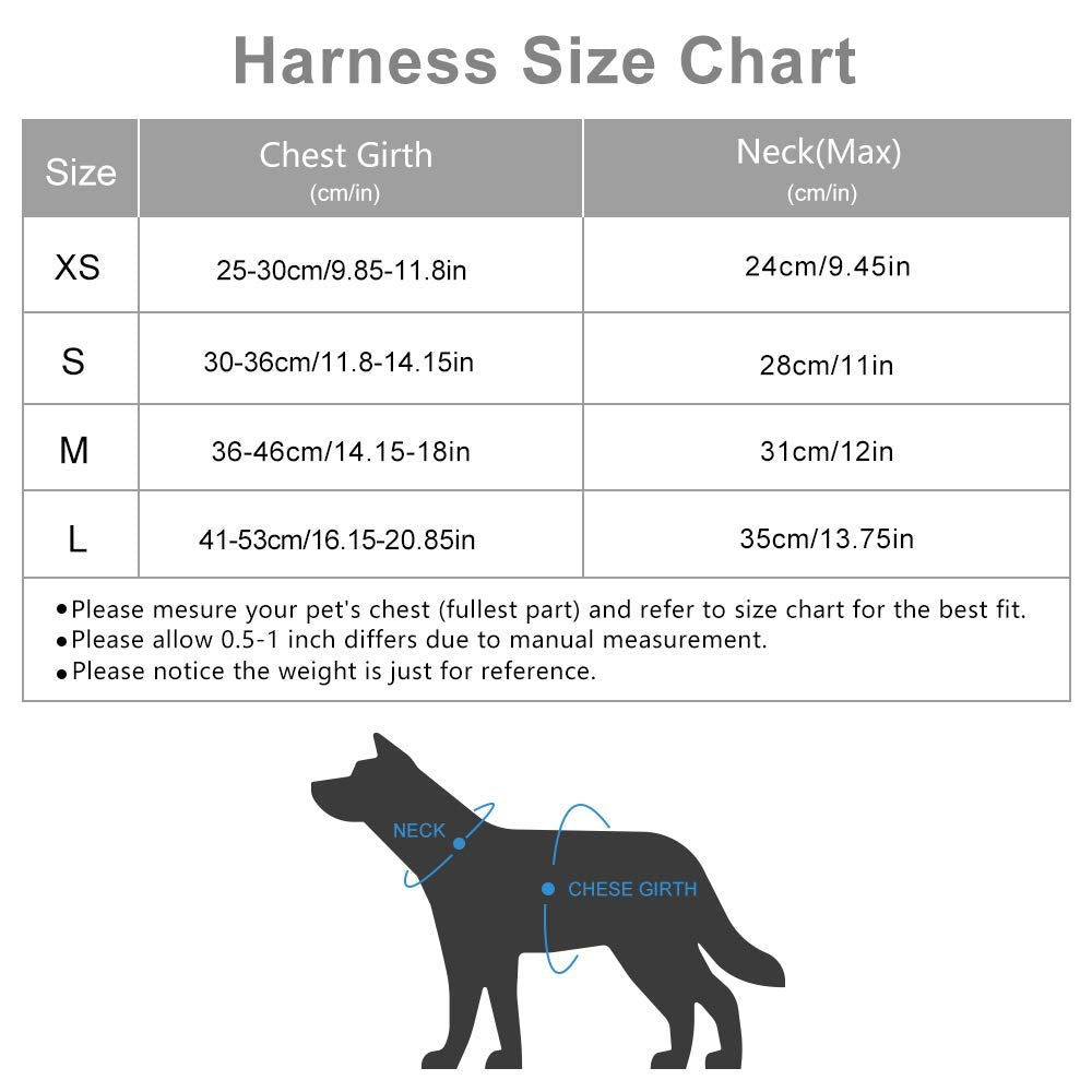 Puppy Harness And Leash Set - Dog Vest Harness For Small Dogs Medium Dogs- Adjustable Reflective Step In Harness For Dogs - Soft Mesh Comfort Fit No Pull No Choke (Xs, Lake Blue)