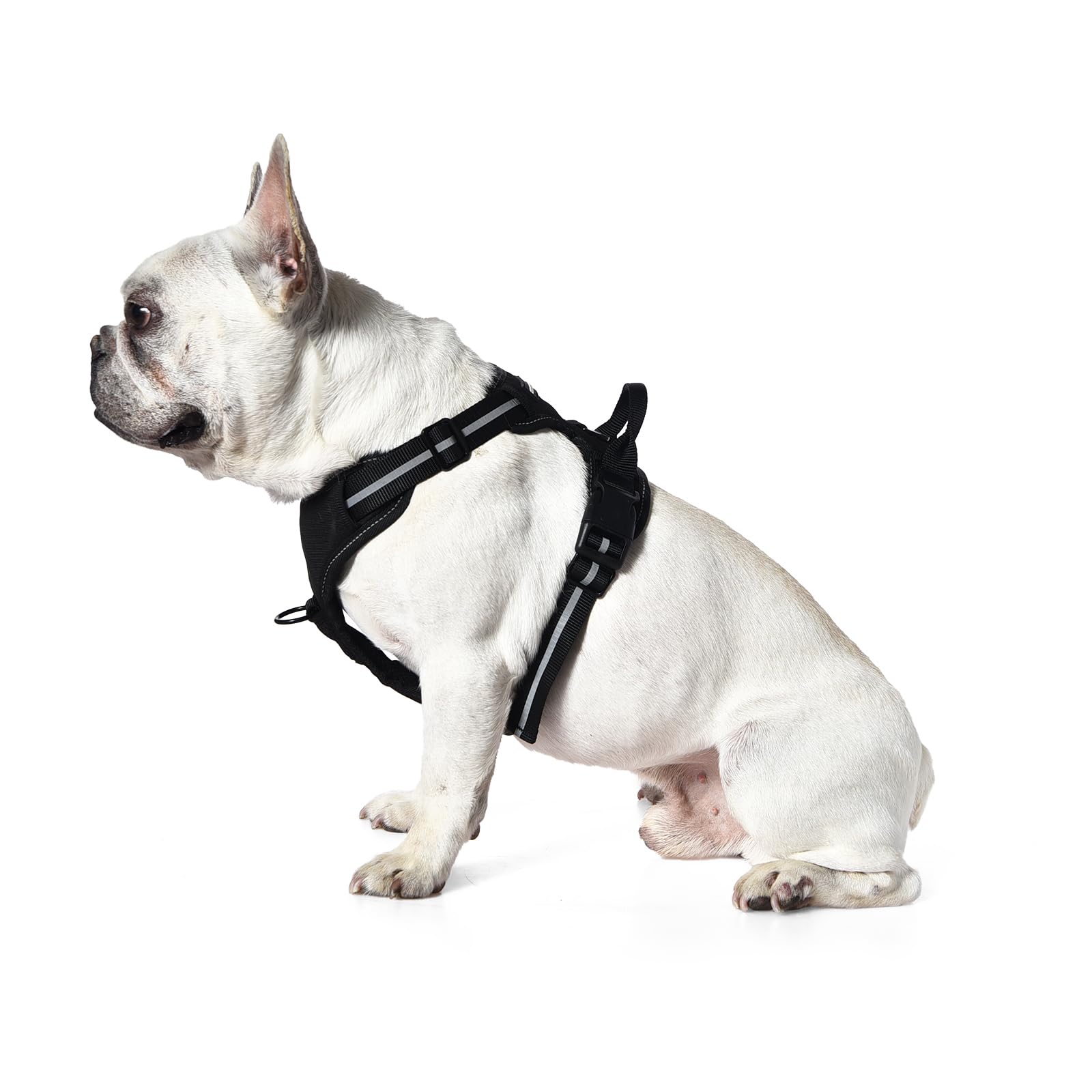 Amazon Basics No-Pull Dog Harness, Adjustable Soft Padded Vest With Reflective Stripes, Small, Black