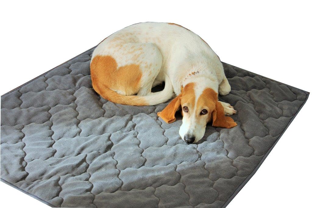 ggm Dog Blanket 100 x 120 cm Anthracite for Allergy Sufferers Dogs Cuddly Soft