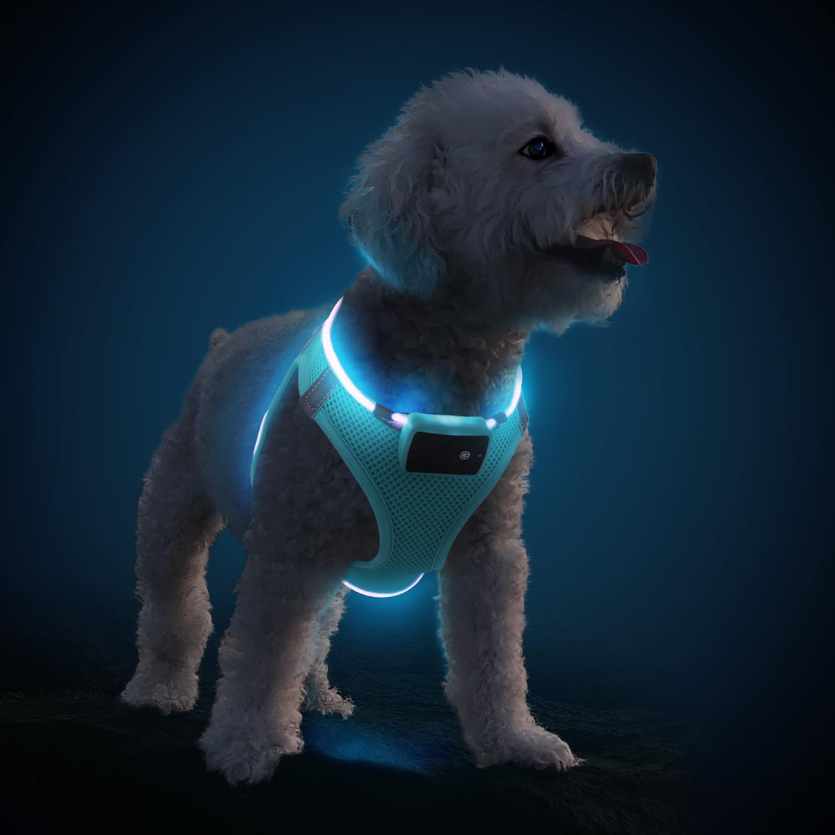 Pceotllar Light Up Dog Harness, Led Dog Harness For Puppy Small Medium Dogs, Rechargeable No Pull Reflective Dog Harness, Flashi