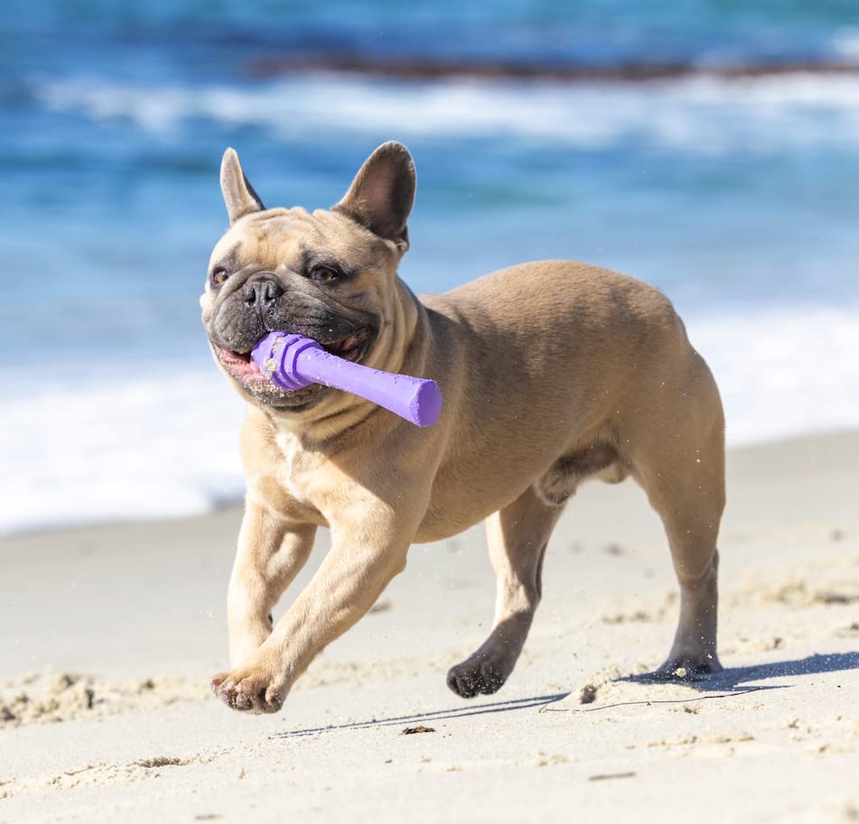 Project Hive ·Pet Company· - Calming Lavender Scented - Hive Dog Fetch Stick For Large Breeds - Dog Stick Toy - Floats In Water - Treat Dispenser Toy - Durable And Tough - Made In The Usa