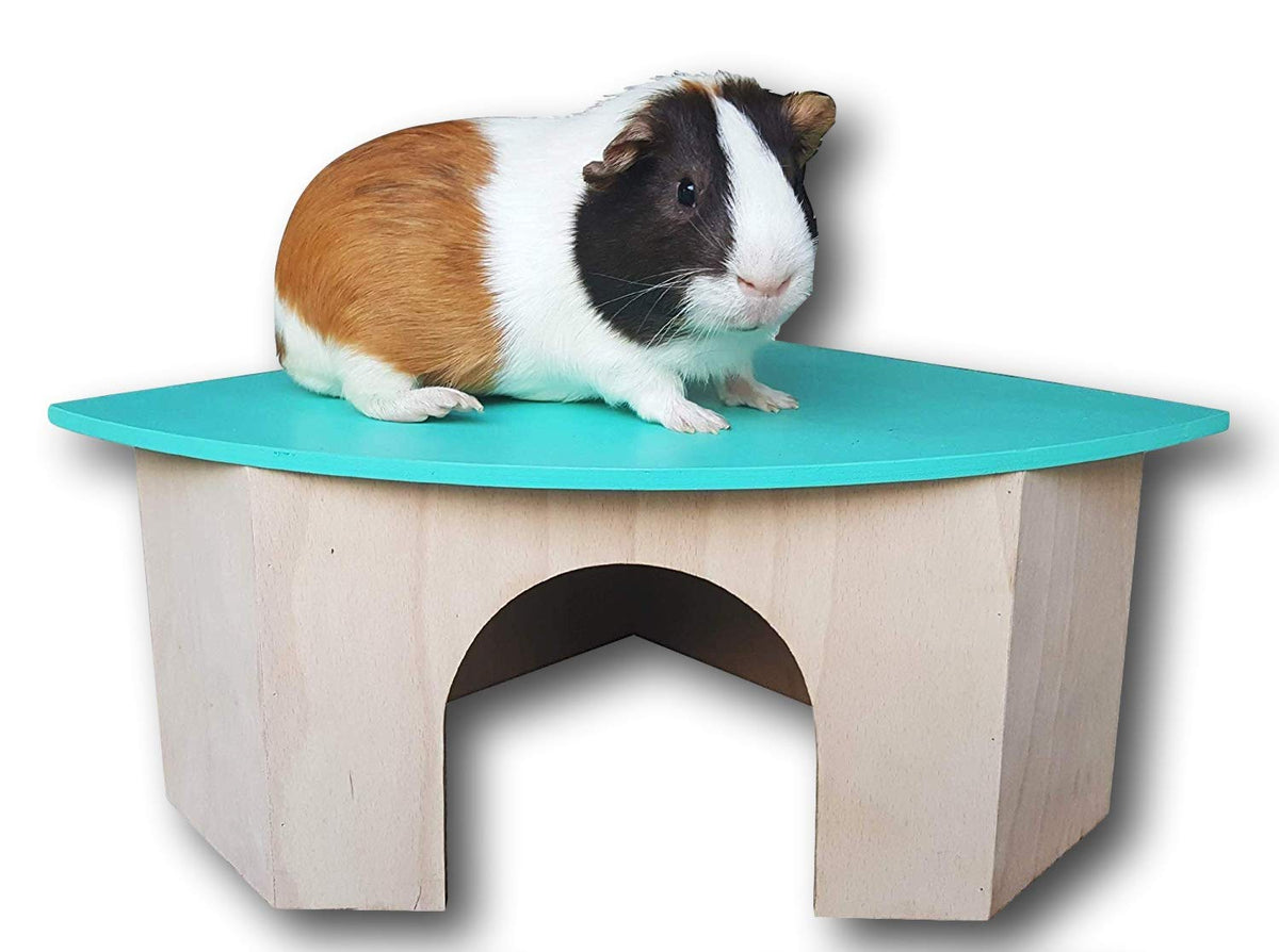 Piggies Choice The Space House All Natural Sturdy Pine Wood Corner Hideout Hidey Guinea Pig Hut (Teal)