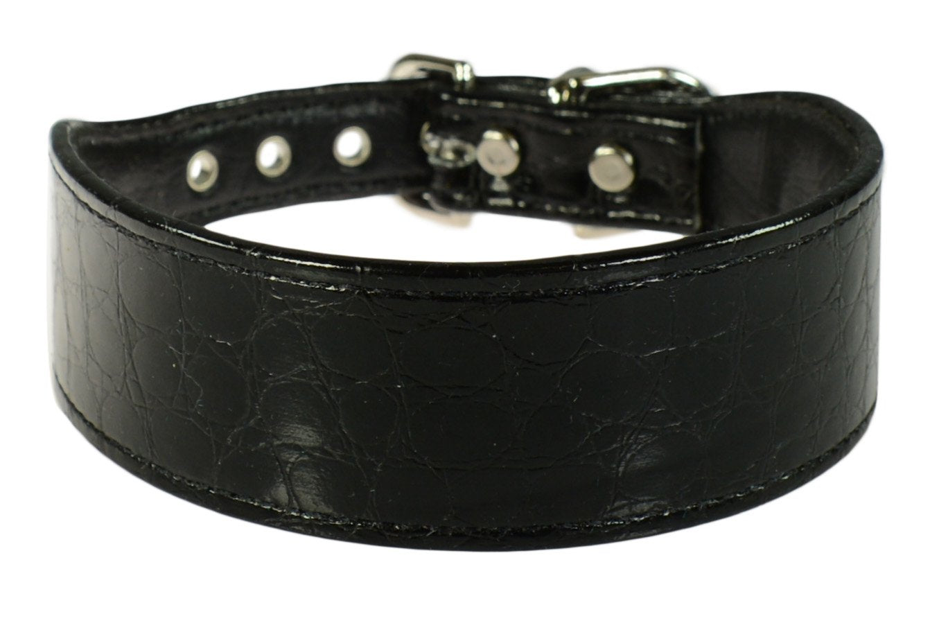 Evans Collars 1 1/4' Shaped Collar, Size 12, Croc, Black