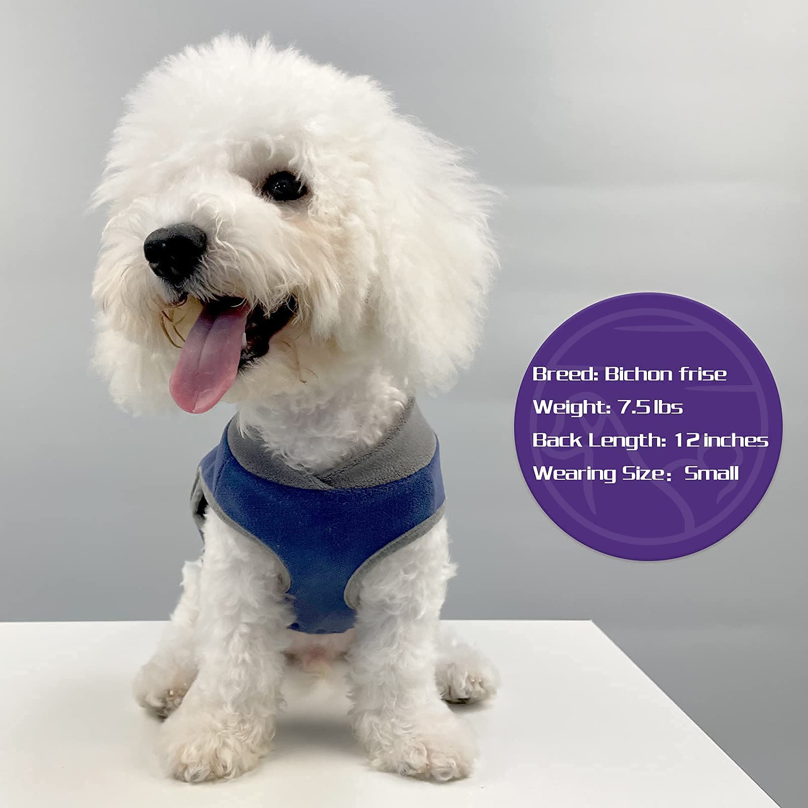 Cyeollo 2 Pack Dog Sweater Stretchy Sweatshirt Soft Fleece With Reflective Stripe Pullover Dog Jacket Pet Puppy Dog Clothes In Cold Weather Sweaters For Small Dogs Grey & Blue