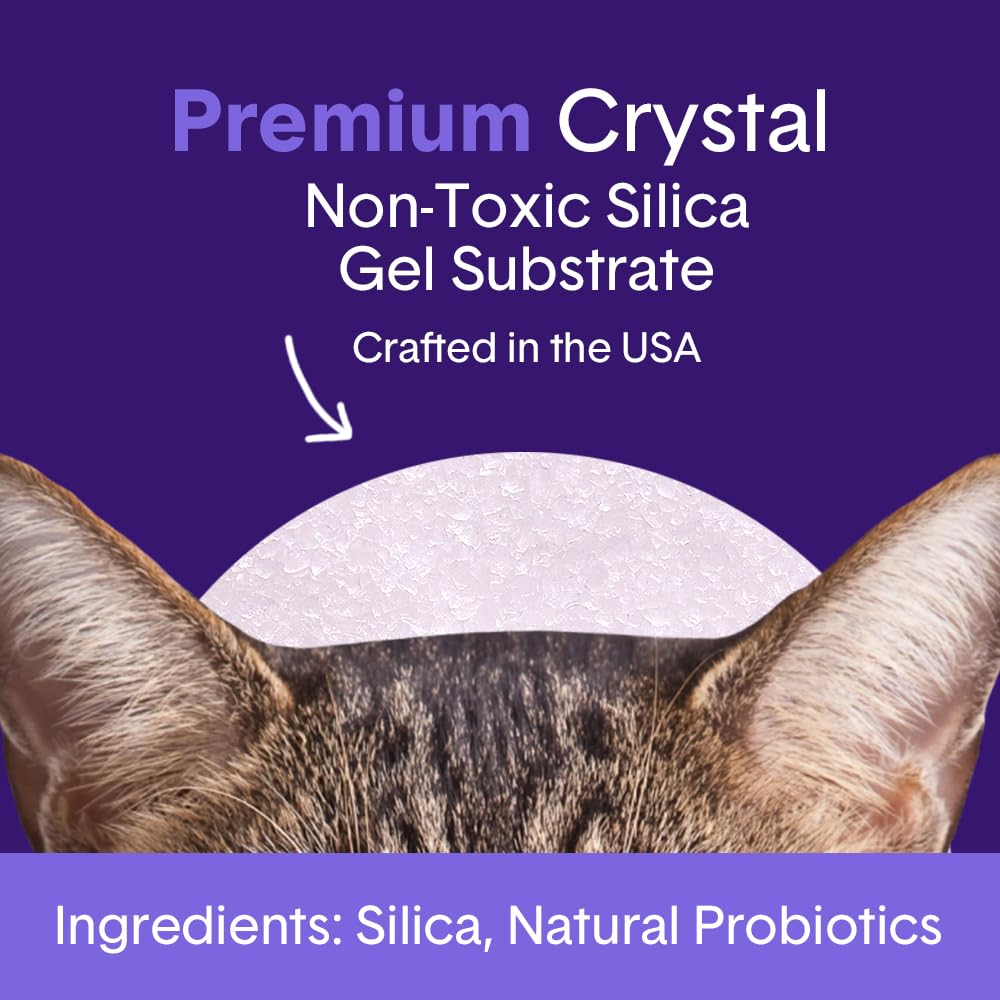 Boxie Probiotic Cat Litter, 40-Day Odor Control, Non-Clumping, Dust-Free, Crystal, 6lb, Multi-Cat