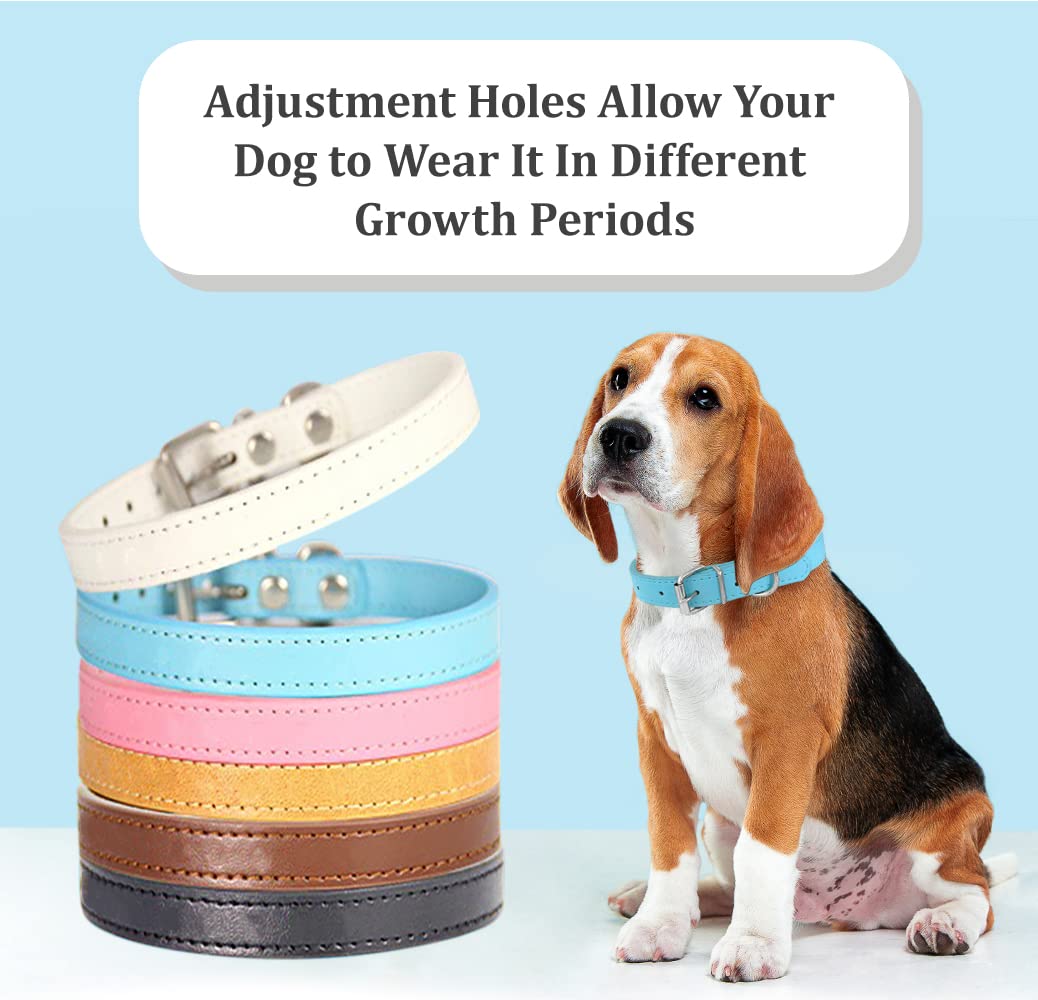 Pet Collars - Leather Small Dog Collars - 12 Color Adjustable Id Collar Identification Leather For Puppy Medium Large Breed Dogs
