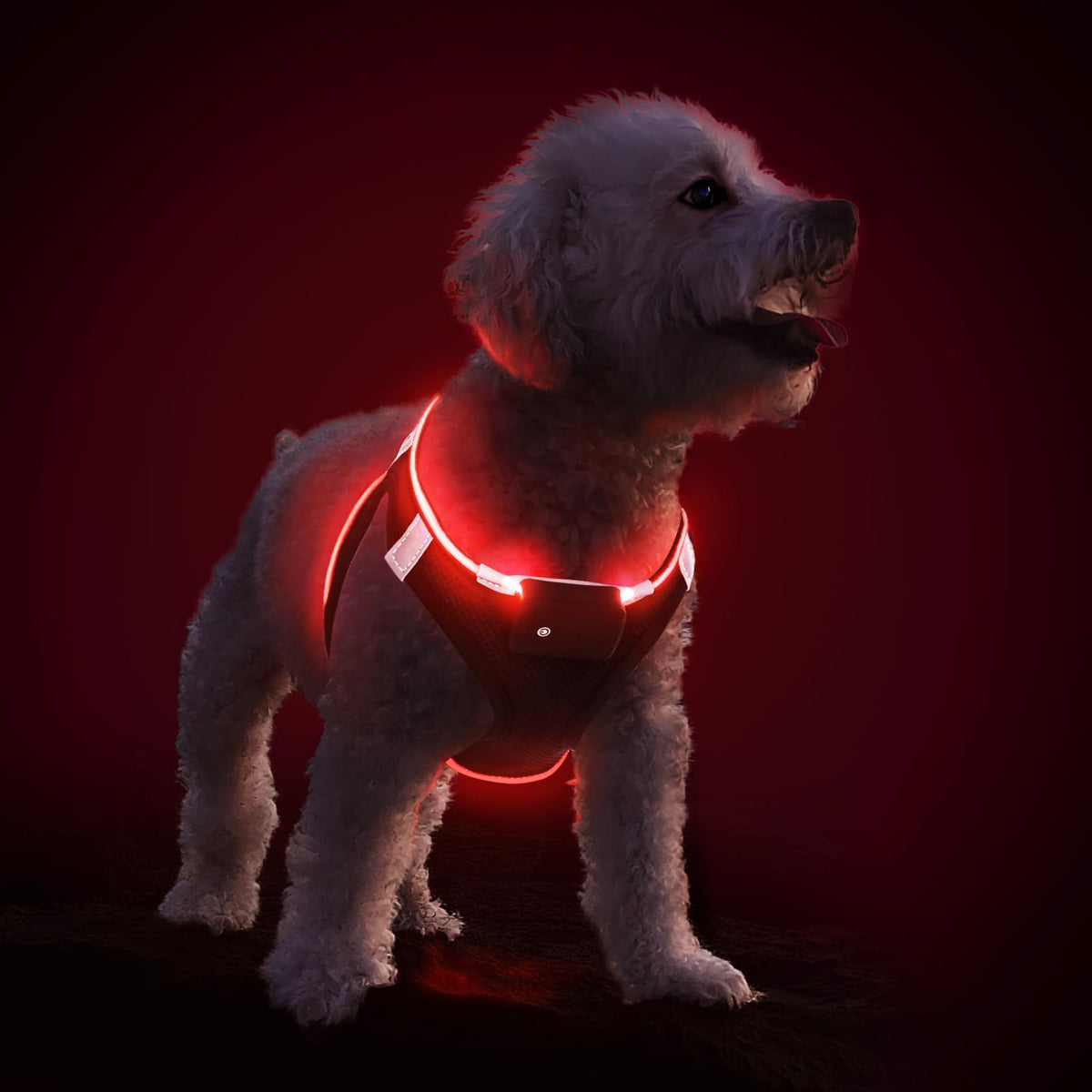 Pceotllar Light Up Dog Harness - Led, Rechargeable, No Pull, Reflective - Flashing Light For Night Walking - Small To Medium Dog