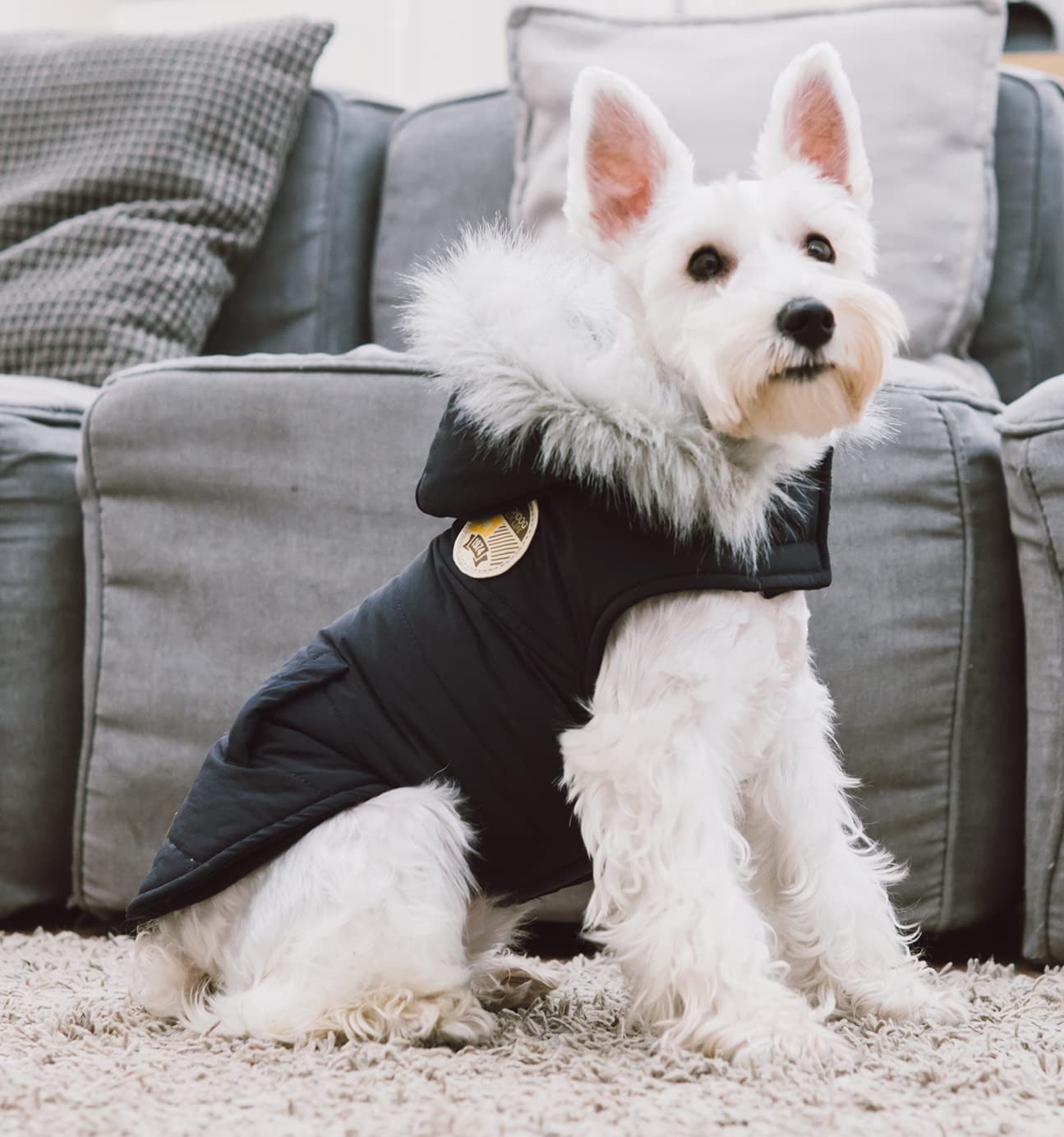 Touchdog Eskimo-Swag Duck-Down Parka Dog Coat, Large, Brown