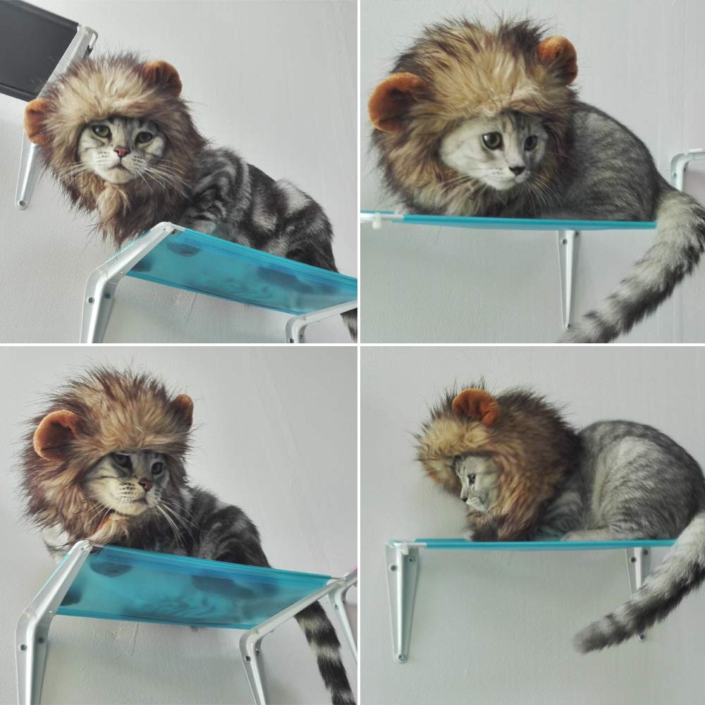 SNIK-S Cat Wigs Lion Mane Wig with Ears- Fancy Costume Hair Lion Hat for Halloween and Cosplay Party (S)