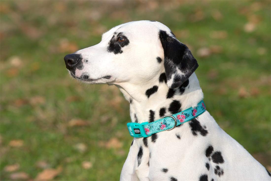 Yudote Floral Dog Collars Adjustable Nylon Collar With Quick Release Buckle For Female & Male Dogs, Green, Small