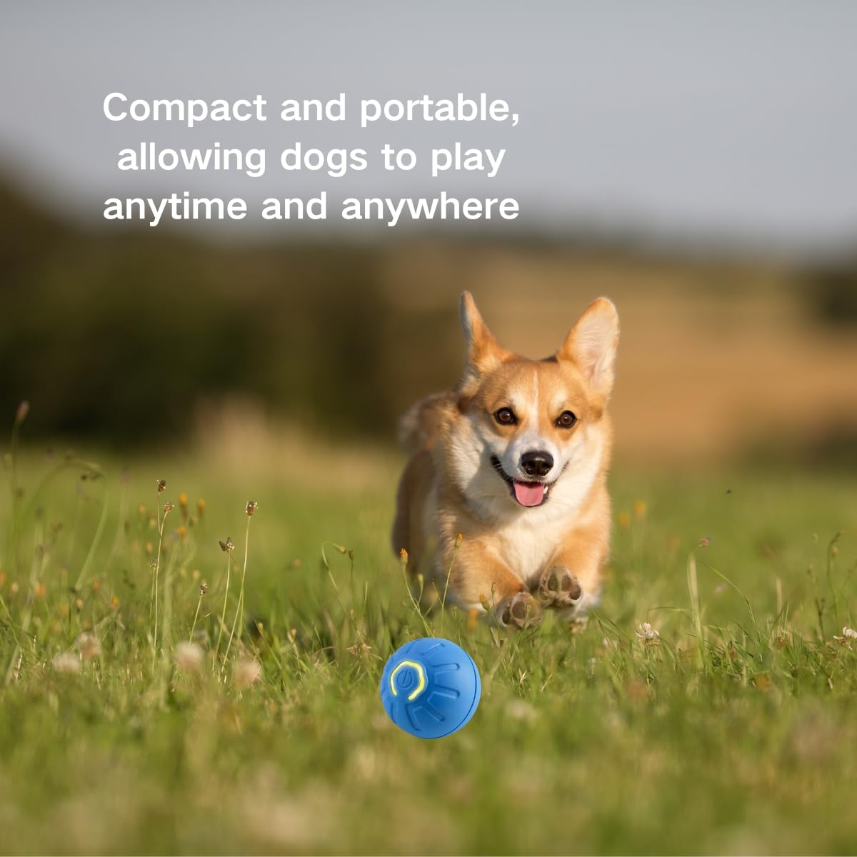 2Pcs Shaky Ball For Dogs, Shaky Ball Toy For Dogs, Vibrating Dog Ball, Vibrating Ball For Dogs, Shaky Ball Moving Dog Toy, Autom