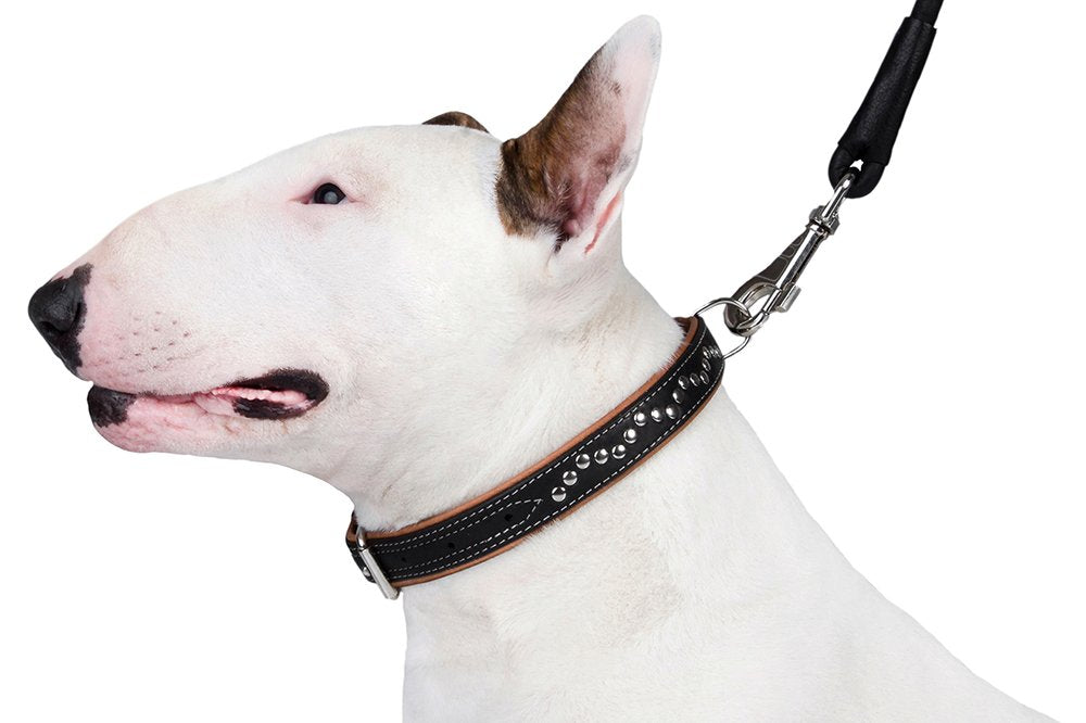 Collardirect Studded Dog Collar Leather Pet Collars For Dogs Small Medium Large Puppy Soft Padded Brown Black (Black, Neck Fit 1