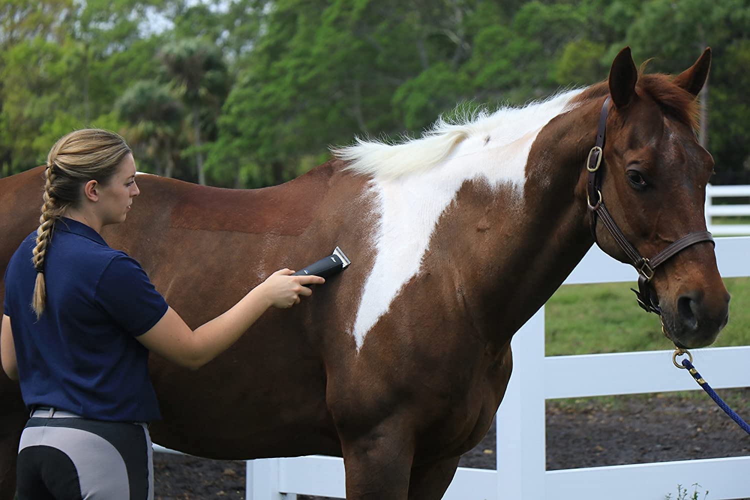 Oster Pro 3000I Cordless Lithium Ion Animal Pet Clipper With Size 10 Cryogenx Blade 10-Piece Stainless Steel Pet Clipper Guide Comb Kit