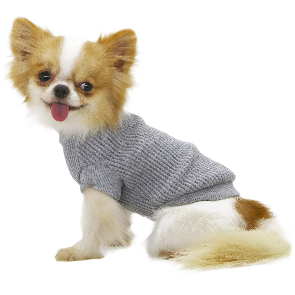 Lophipets Lightweight Dog Sweaters For Puppy Small Dogs Puppy Chihuahua Yorkie Clothes-Gray/M