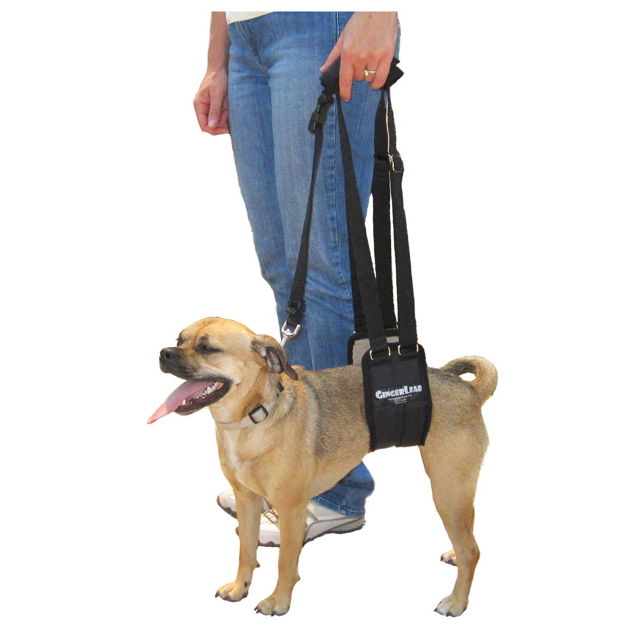 GINGERLEAD Dog Sling Support Harness, SM Female fits Small to Medium Size Pets or Larger Barrel Chested Dogs Like Boxers or Bull