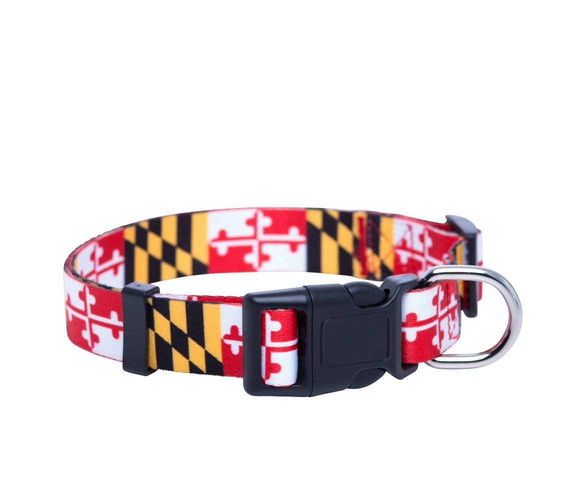 Native Pup Maryland Flag Dog Collar (Maryland, Medium)