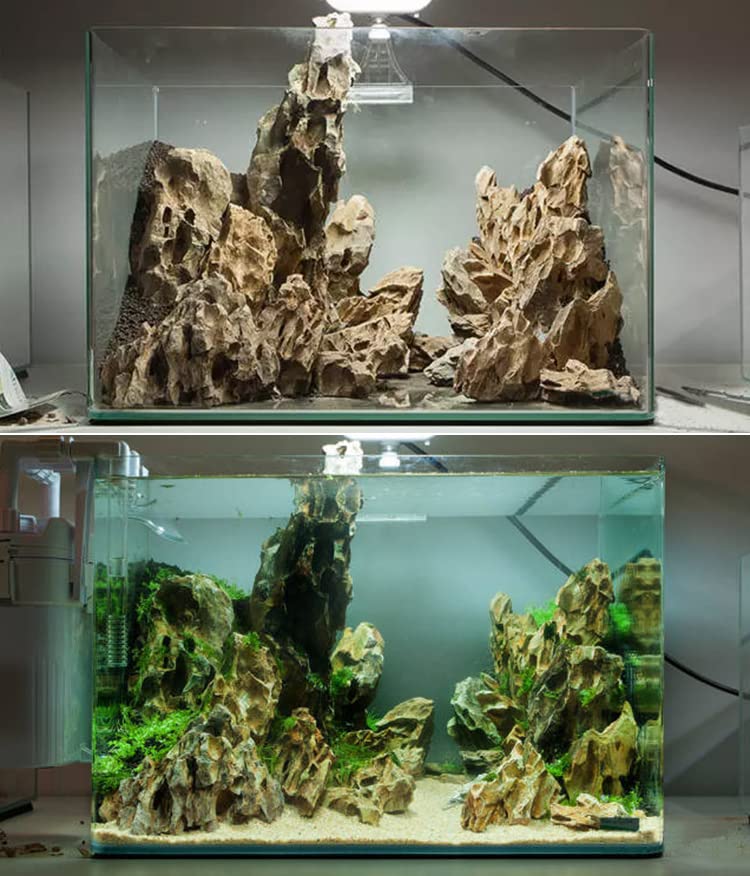 AWXZOM Natural Dragon Rock Carefully Selected Mixed Sizes, Decorative Aquarium Rocks, Aquarium Stones for Fish Tank (7.1lb-Large